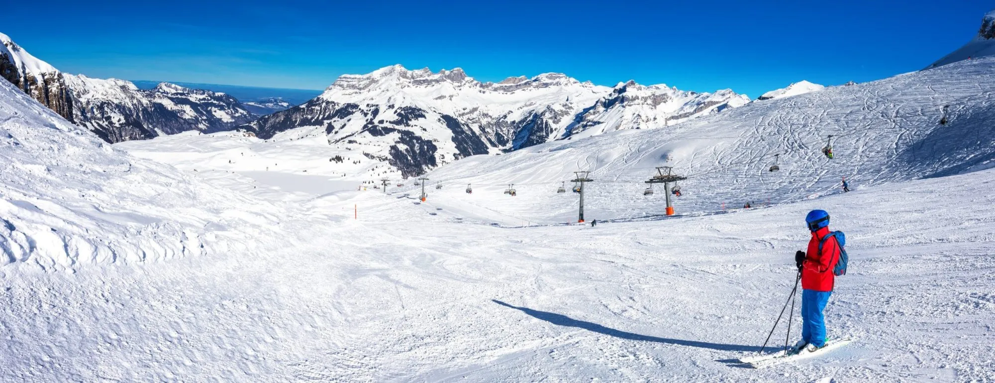 Gekennzeichnetes Bild