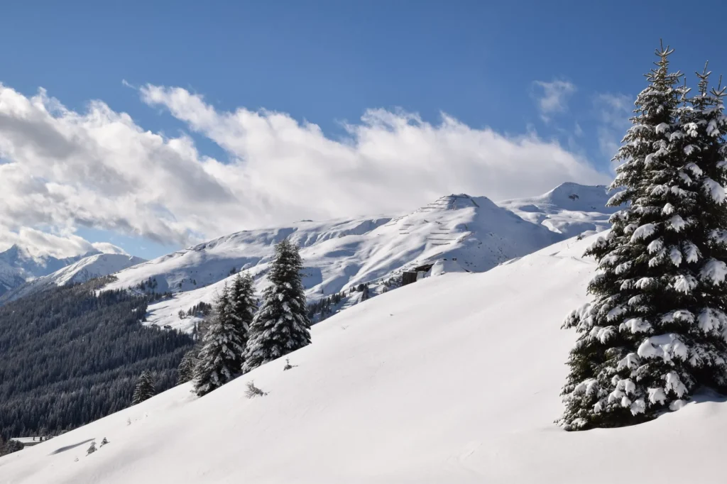 Schweizer Alpenwelt
