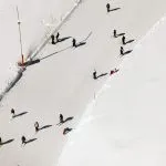 Menschen beim Skifahren in St. Moritz Schweiz